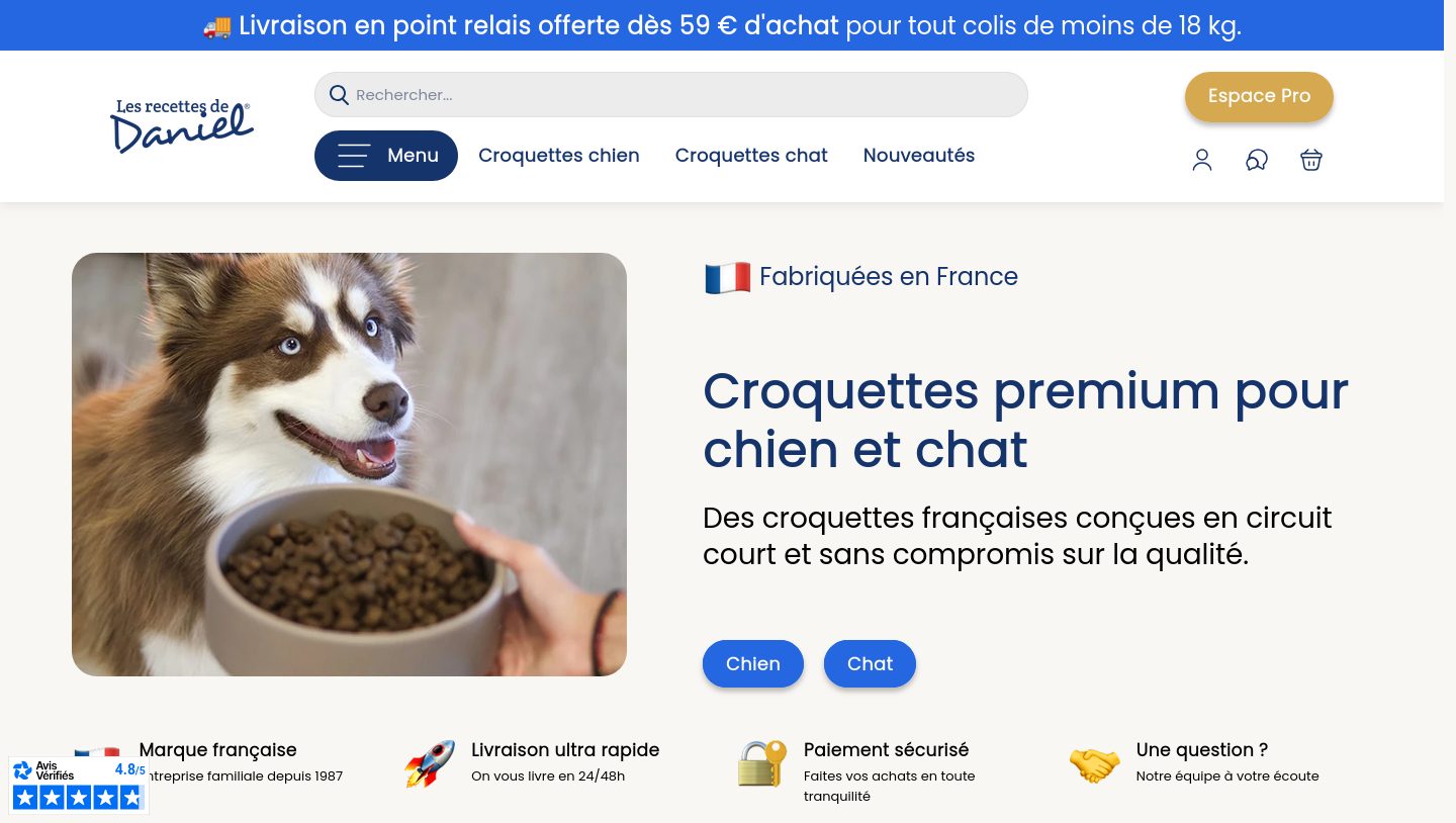Capture de la page d'accueil Les Recettes de Daniel, croquettes françaises